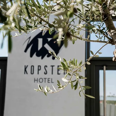 Kopster Lyon Groupama Stadium Отель 4*