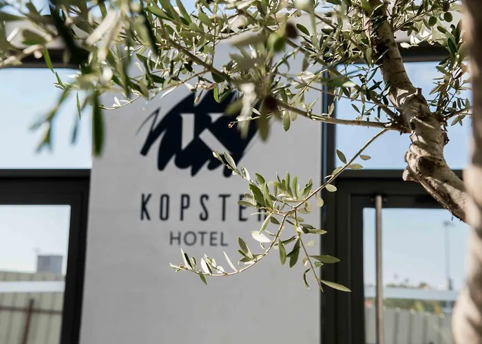 Kopster Lyon Groupama Stadium Décines-Charpieu